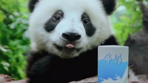 TetraPak_Panda_ְ